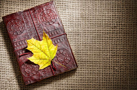 yellow leaf on brown book at textured background