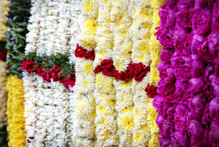 Flowers garlands in the shop near Kapaleeshwarar temple in Chennai, Tamil Nadu, Indiaの写真素材