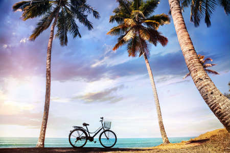 Bicycle with basket on the beach near palm trees and ocean in Indiaの写真素材