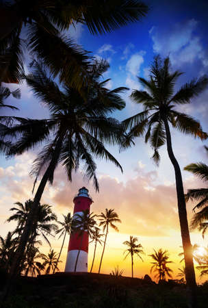 Lighthouse around palm trees at orange sunset sky in Kovalam, Kerala, India  の写真素材