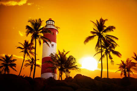 Lighthouse around palm trees at orange sunset sky in Kovalam, Kerala, India  の写真素材