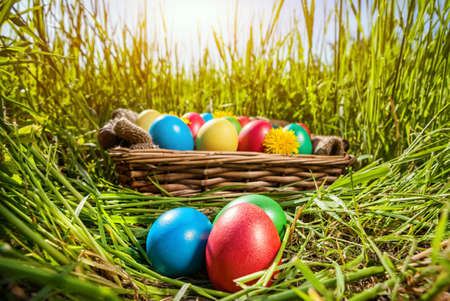 Easter colorful eggs in the basket on the green grass at sunset