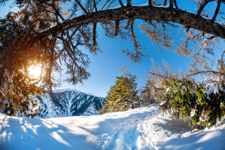 Winter mountain scenery at blue sky with sun