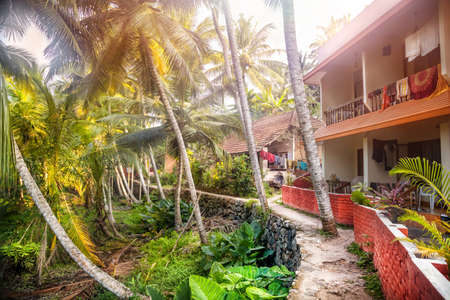 Guest house near the road in tropical greenery village of Kovalam, Kerala, Indiaの写真素材