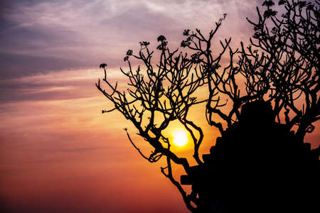 Ancient ruins and tree silhouette at sunset sky background in Hampi, Karnataka, Indiaの写真素材