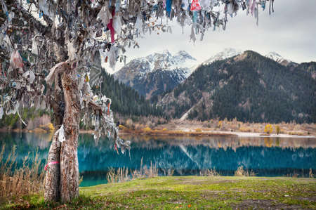Tree of wishes near Issyk mountain lake in Kazakhstanの写真素材