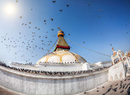 Bodhnath stupa with flying birds at blue sky in Kathmandu valley, Nepalの写真素材