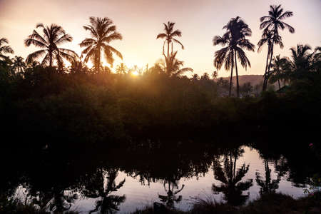 Palm tree village with river at sunrise in Goa, India