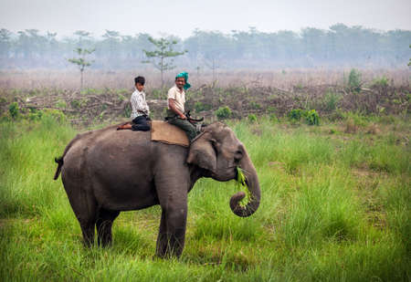 CHITWAN, NEPAL - APRIL 14, 2014: Local man and boy riding elephant in the grassland of Chitwan...