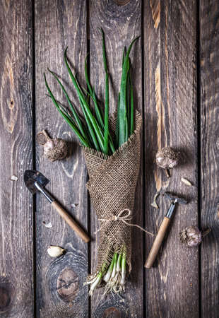 Raw green onion in sackcloth and garden tools nearby on wooden tableの写真素材