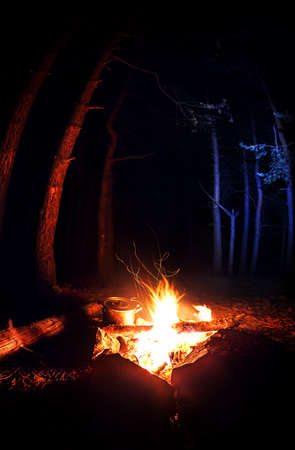 Cooking food near campfire in the dark forest at nightの写真素材