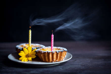 Two cheesecakes with candles and yellow flower on black backgroundの写真素材