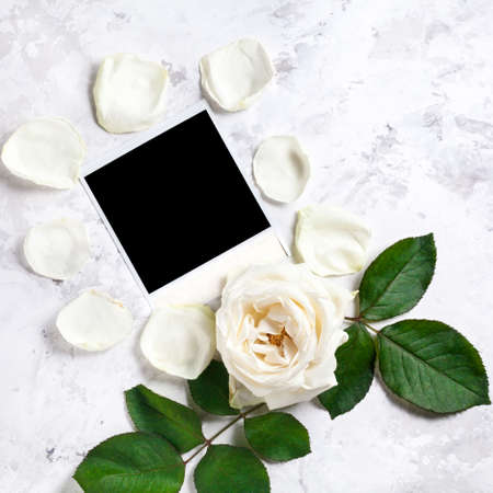 Blank photo frame near white rose and petals on white marble backgroundの写真素材