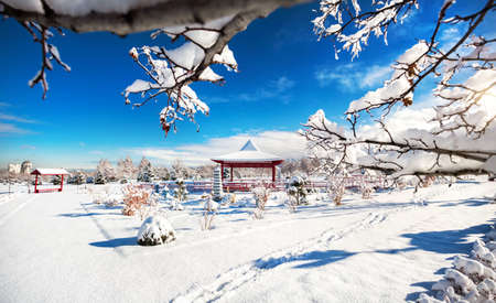 Winter Japanese garden with red pagoda at mountains and blue sky in dendra park of first president in Almaty, Kazakhstanの写真素材