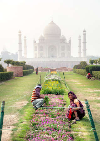 AGRA, UTTAR PRADESH, INDIA - FEBUARY 24, 2015: Indian people working in the garden in Mehtab Bagh complex in front of Taj Mahalのeditorial素材