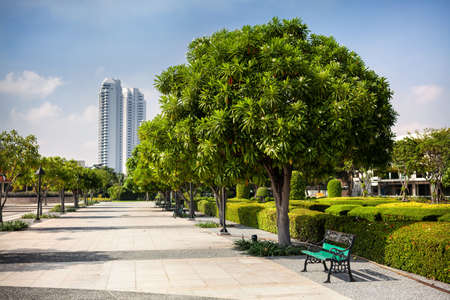 Bench in the park of Rama VII in Bangkok, Thailandの写真素材