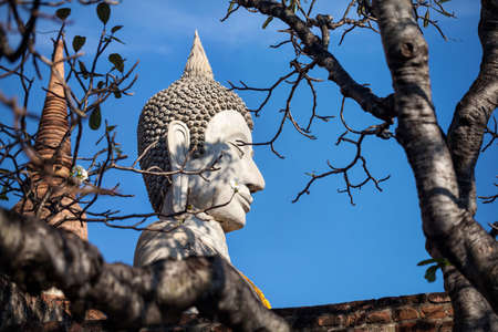Big Buddha statue in Wat Yai Chai Mongkol monastery in Ayuttaya, Thailandの写真素材