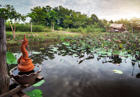 Beautiful pond with lotus and Dragon statues in Sukhothai resort, Thailand の写真素材
