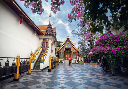 Woman tourist with red traditional Thai umbrella near Pagoda and blooming tree with pink flowers at Wat Doi Suthep in Chiang Mai, Thailandの写真素材