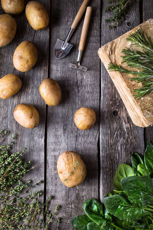 Potato and green potherbs harvest on rustic wooden background from the top viewの写真素材