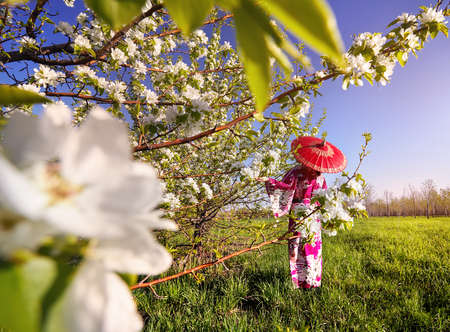 Woman in kimono with red umbrella in the garden with cherry blossom at sunrise