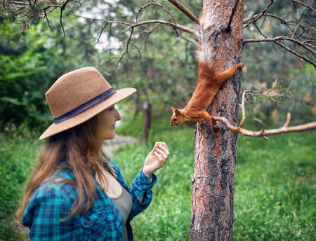 Young woman in hat with long hair feeding funny squirrel in pine forestの写真素材