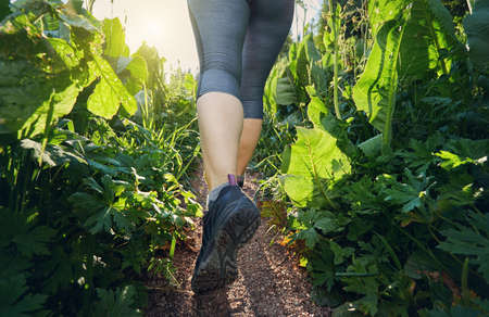 Runner feet on mountain trail closeup on shoe at sunset sun flare outdoors. Fitness, sport and workout concept.のeditorial素材