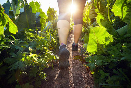 Runner feet on mountain trail closeup on shoe at sunset sun flare outdoors. Fitness, sport and workout concept.のeditorial素材