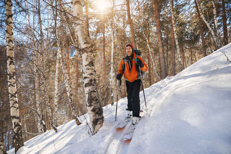 Man in orange jacket skiing on fresh powder snow at winter forestの写真素材