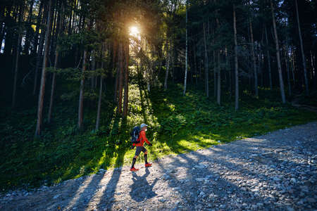 Tourist in orange shirt and backpack walking in the forest at sunrise. Outdoor travel conceptの写真素材