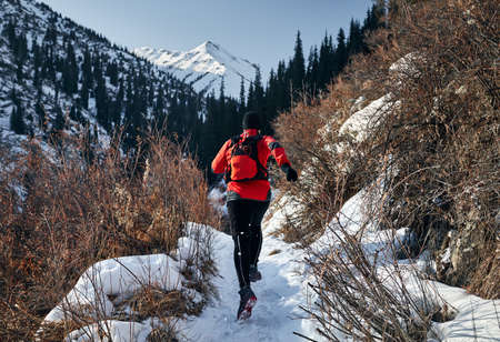 Old man with grey beard and red jacket is running near on the trail at mountains in winter time. Skyrunning and trailrunning outdoor activity concept.の写真素材