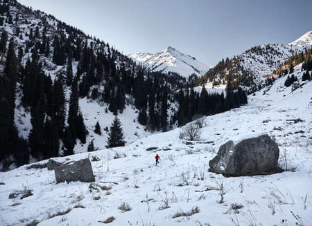 Old runner with grey beard and red jacket is running near tree trunks at mountain scenery in winter...