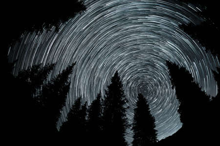 Crile stars trace at night sky with spruce silhouette in the mountains. の写真素材