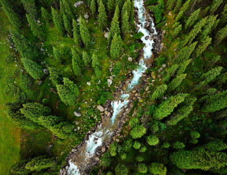 Aerial view of the mountain river in the forest. Photo taken with Droneの写真素材