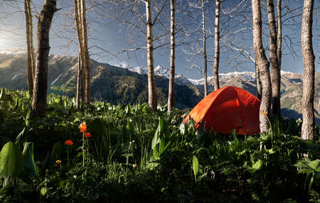 Beautiful mountain landscape with orange tent in the lush forest at the sunriseの写真素材
