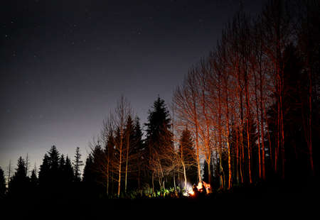 Aerial view of the road in the mountain valley with lush forest in Kazakhstanの写真素材