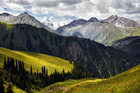 Aerial view of the road in the mountain valley with lush forest in Kazakhstanの写真素材