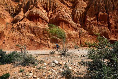 Rider rides his mountain bike in the desert Canyon wall near the tree at windy weather in Kazakhstan. Extreme Sport and outdoor recreation concept.の写真素材