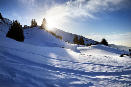 Beautiful winter landscape of snowy mountain Furmanovka with glowing sun in Almaty with spruce tree forest against blue cloudy sky in Kazakhstanの写真素材