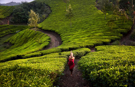 Yoga garudasana eagle pose by fit healthy woman in red costume on tea plantations in Munnar hills, Kerala, Indiaの写真素材