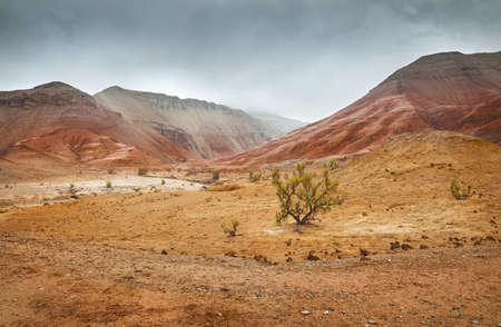 Landscape of Red mount with stripe bizarre layered mountains in canyon at fog overcast cloudy sky in beautiful desert park with dry plant at foregroundの写真素材