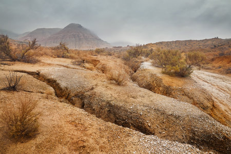 Landscape of Red mount with stripe bizarre layered mountains in canyon at fog overcast cloudy sky in beautiful desert park with dry plant at foregroundの写真素材