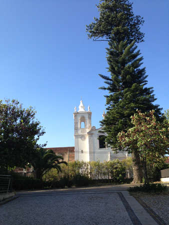 bell tower and big treeの写真素材