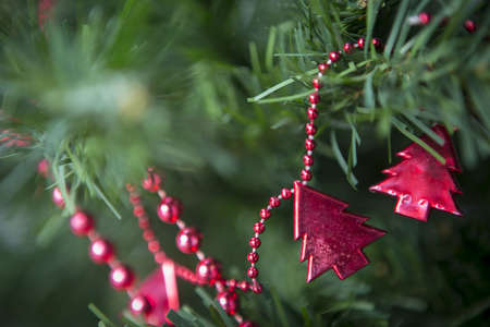 Christmas ornament on christmas tree branch