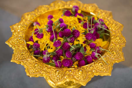 Amaranth and Mary gold petalの写真素材