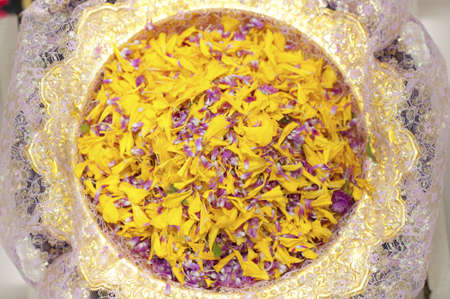 Amaranth and Mary gold petal