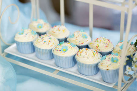 Sweet cupcakeの写真素材