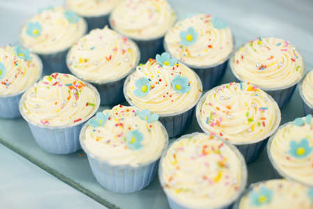 Sweet cupcake on the trayの写真素材