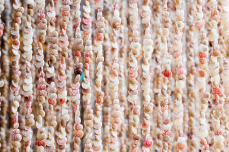 Curtains made of Sea shellsの写真素材