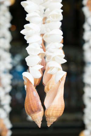 Curtains made of Sea shellsの写真素材